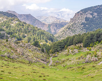 small-group-tour-to-qadisha-valley-bsharre-cedars-of-god (1)