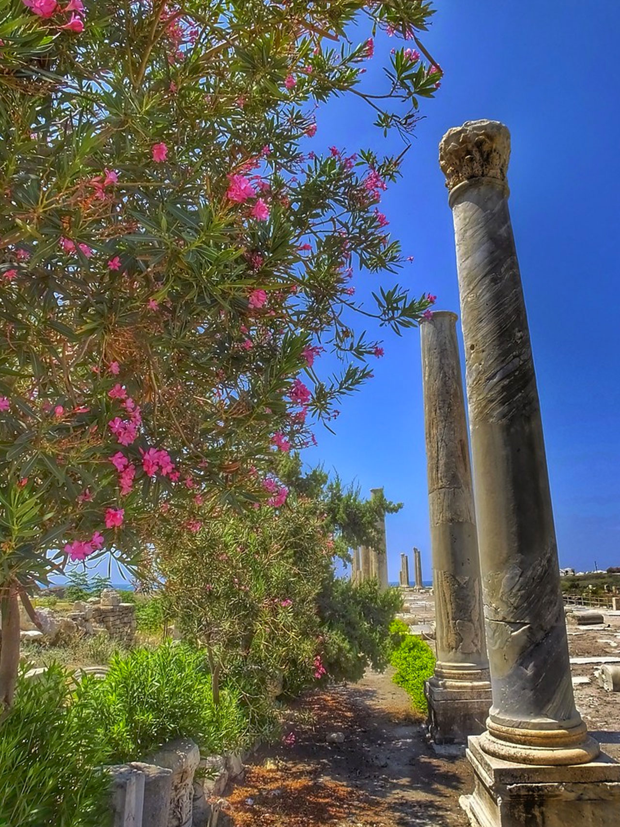 al-mina-archeological-site-tyre-lebanon