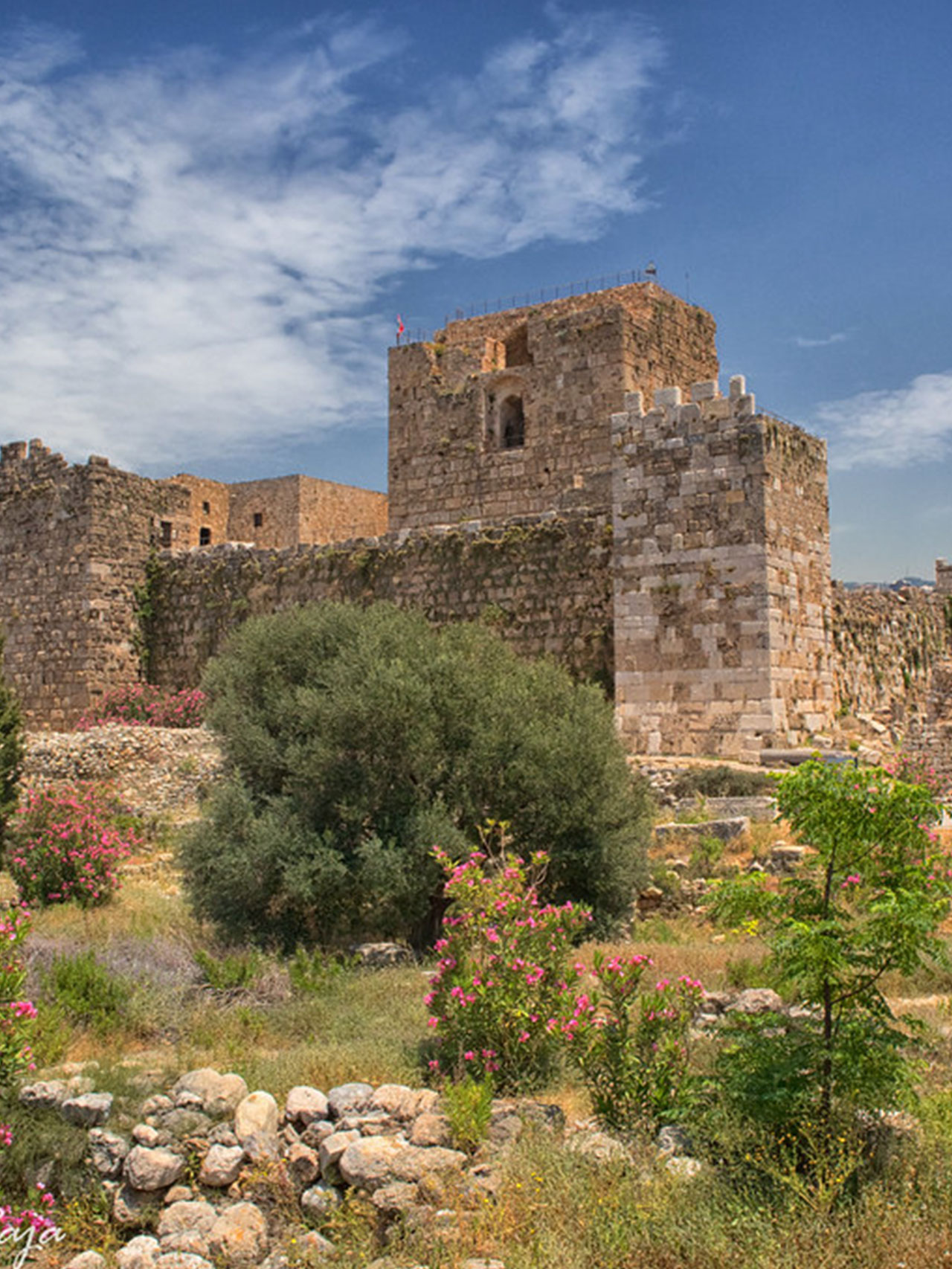 byblos-castle-lebanon-2