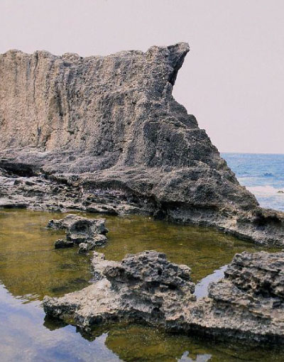 phoenician-sea-wall-batroun (1)