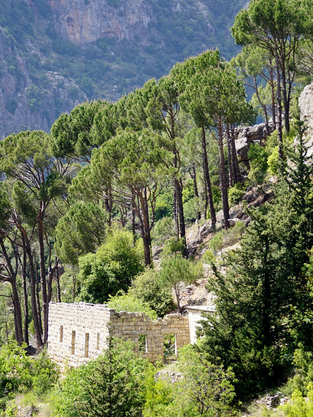 qadisha-valley-lebanon-12